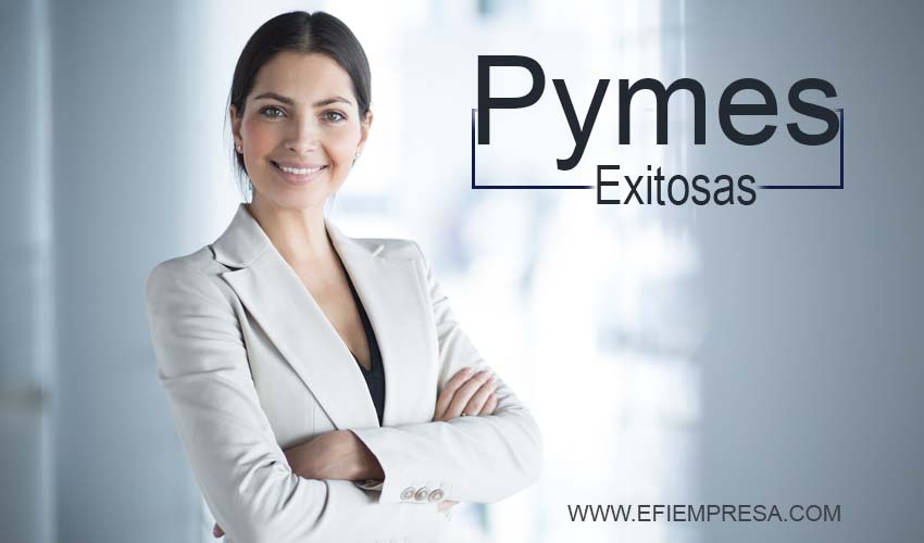 Estrategias para Pymes Exitosas. Efiempresa